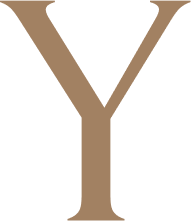 y letter